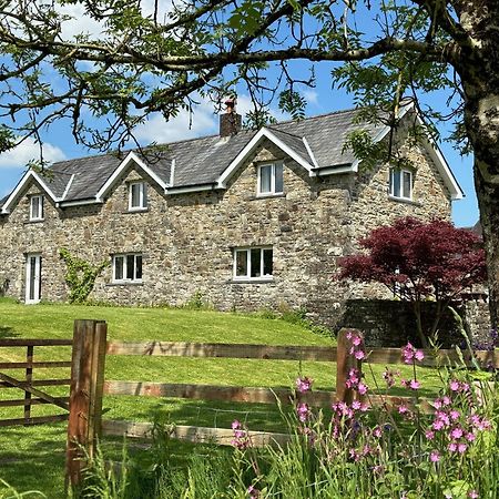 Maesyfelin Isaf B&B Llanybydder Exterior photo