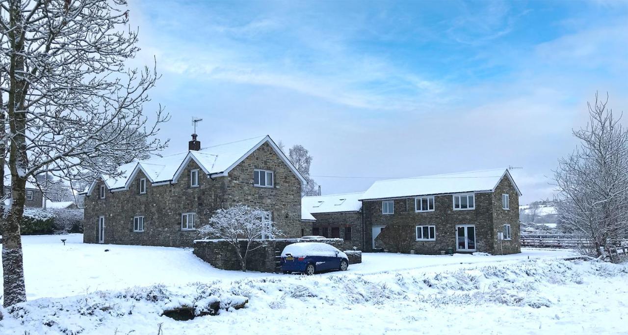 Maesyfelin Isaf B&B Llanybydder Exterior photo