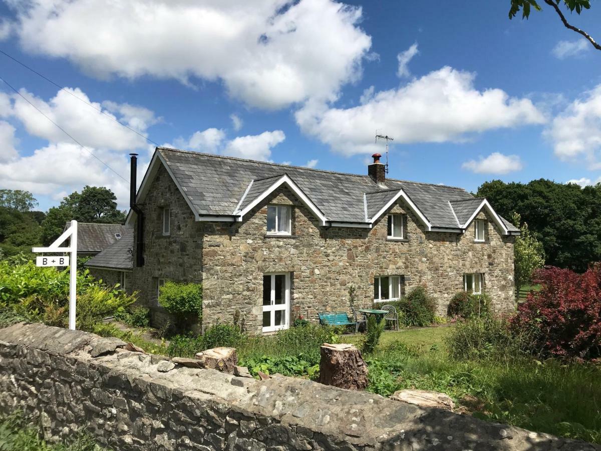 Maesyfelin Isaf B&B Llanybydder Exterior photo